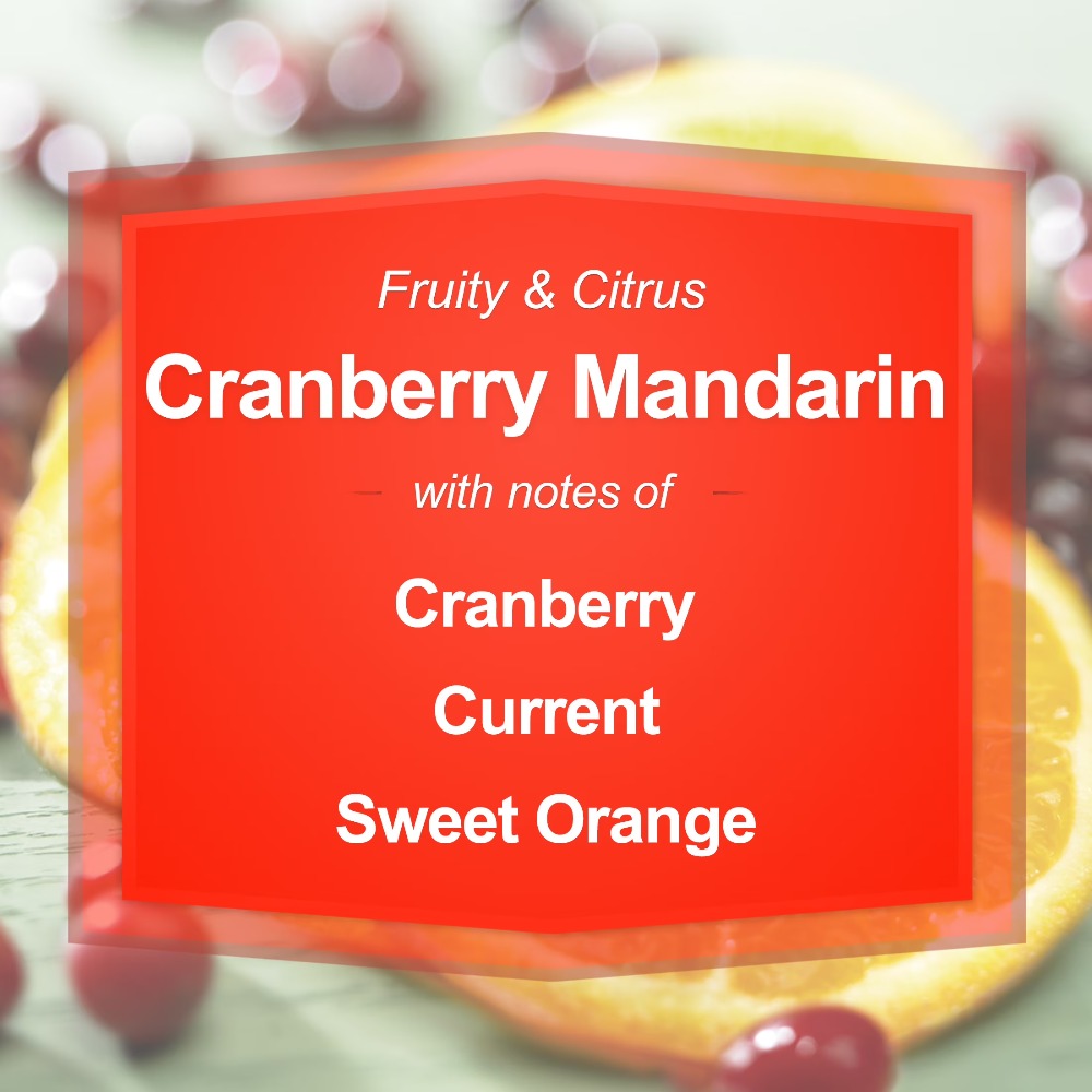 Cranberry Mandarin Scented Can - огляд і ціна Home Fragrance Scented Candle